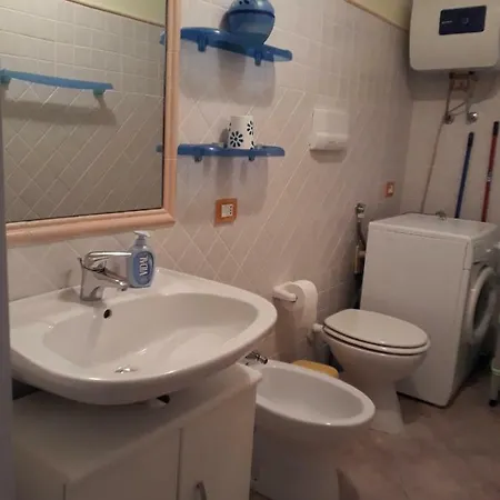 - Abete Bianco 48 E 52 * Murta Maria